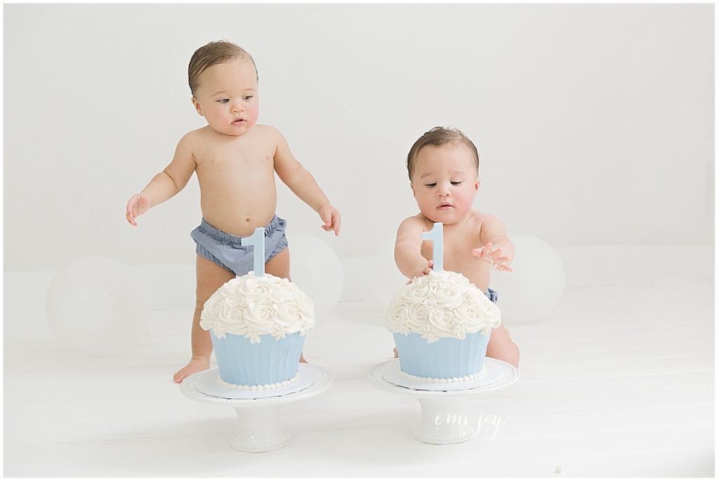 Twins Cake Smash First Birthday