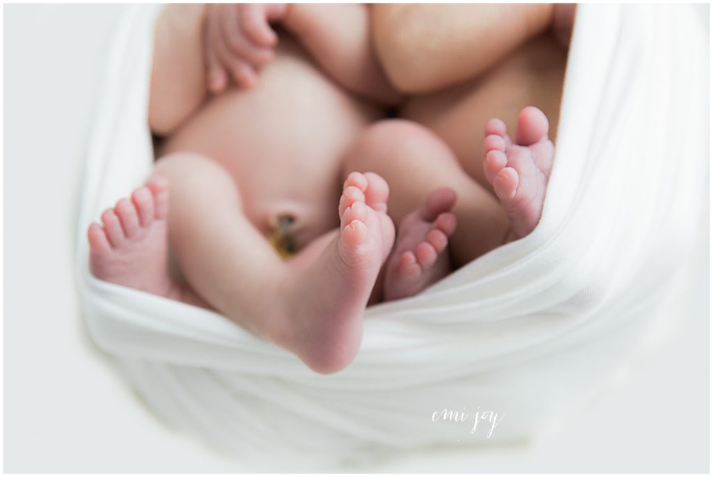 twin boys dallas newborn photographer